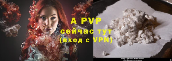 индика Вязьма