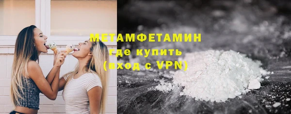 индика Вязьма