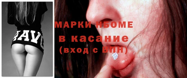 индика Вязьма
