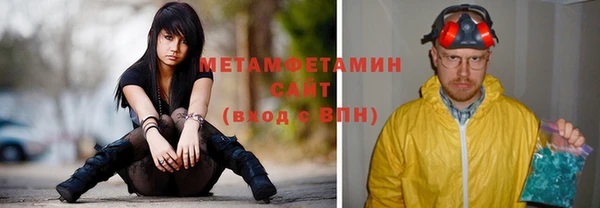 индика Вязьма