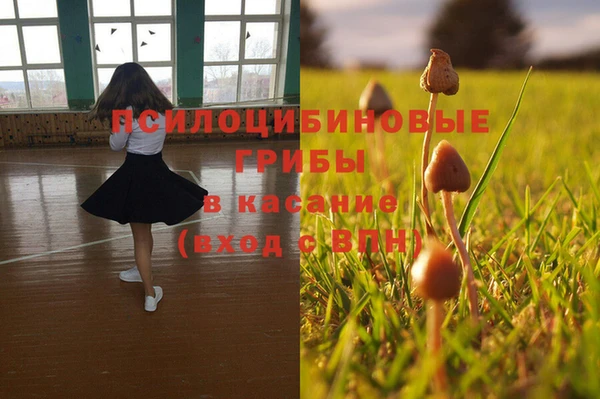 индика Вязьма