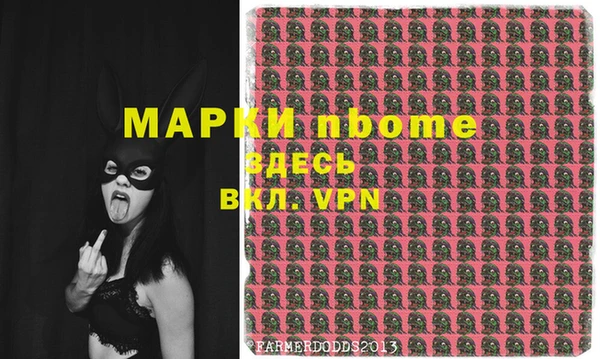 индика Вязьма