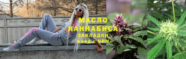 индика Вязьма