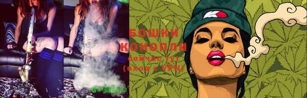 индика Вязьма