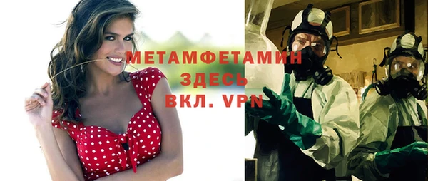 индика Вязьма